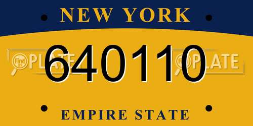 640110 New York License Plate