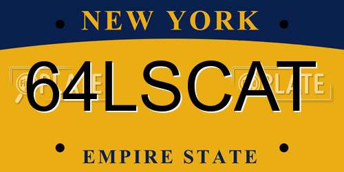 64LSCAT New York License Plate