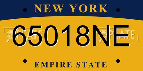 65018NE New York License Plate