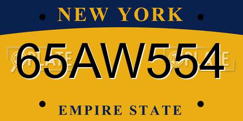 65AW554 New York License Plate