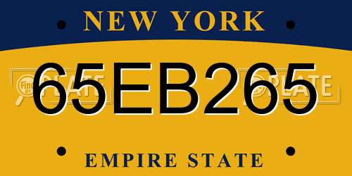 65EB265 New York License Plate