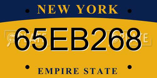 65EB268 New York License Plate