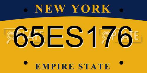 65ES176 New York License Plate