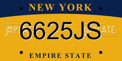 6625JS New York License Plate