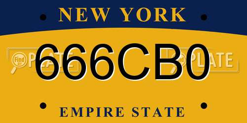 666CB0 New York License Plate