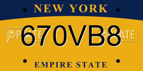 670VB8 New York License Plate