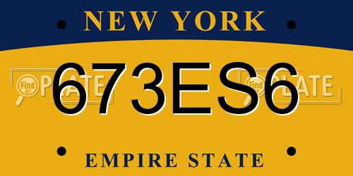 673ES6 New York License Plate