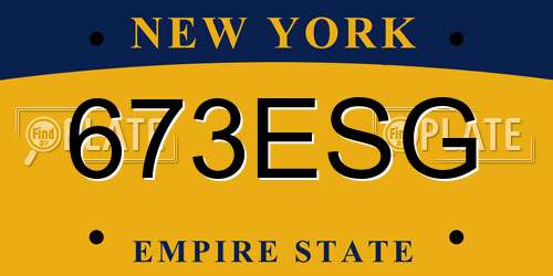 673ESG New York License Plate