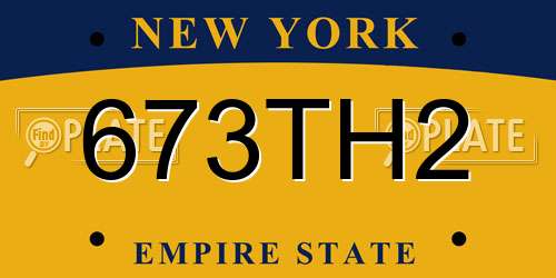673TH2 New York License Plate