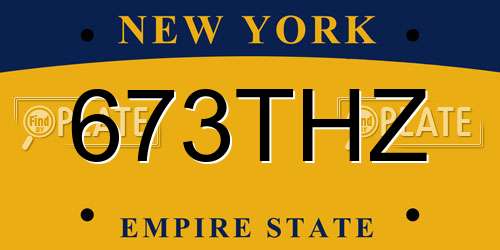 673THZ New York License Plate