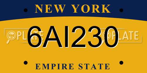 6AI230 New York License Plate
