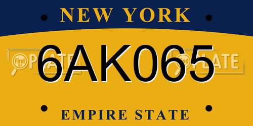 6AK065 New York License Plate