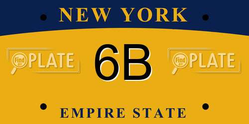 6B New York License Plate