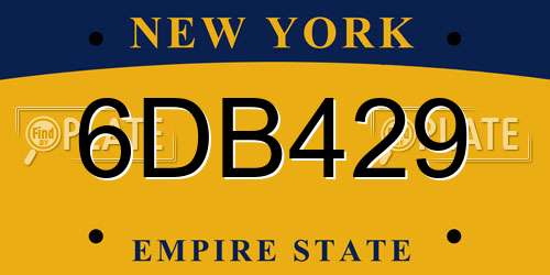6DB429 New York License Plate