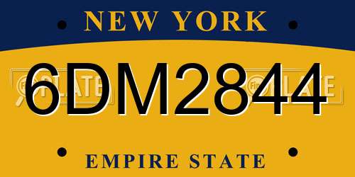 6DM2844 New York License Plate