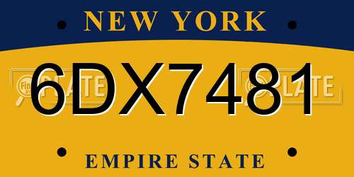 6DX7481 New York License Plate