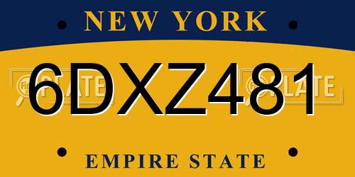 6DXZ481 New York License Plate