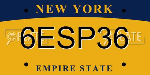6ESP36 New York License Plate