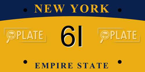 6I New York License Plate