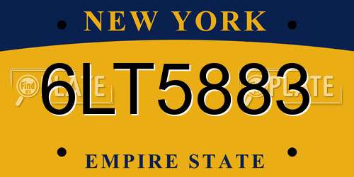 6LT5883 New York License Plate