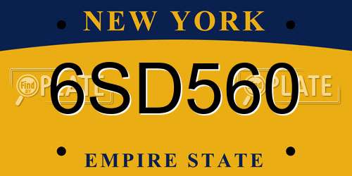 6SD560 New York License Plate