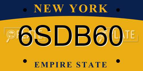 6SDB60 New York License Plate