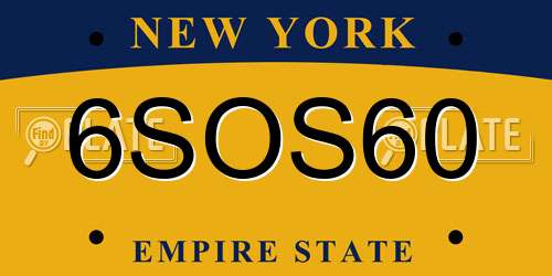 6SOS60 New York License Plate