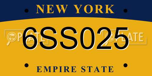 6SS025 New York License Plate