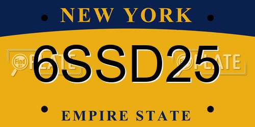 6SSD25 New York License Plate