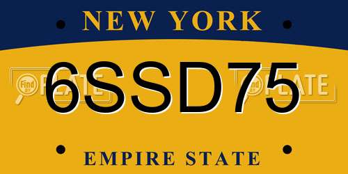 6SSD75 New York License Plate