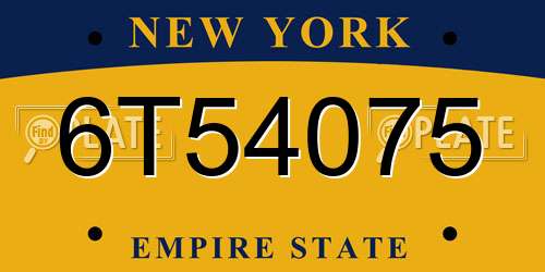 6T54075 New York License Plate