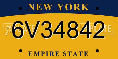 6V34842 New York License Plate
