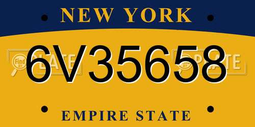 6V35658 New York License Plate