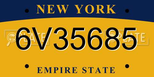6V35685 New York License Plate