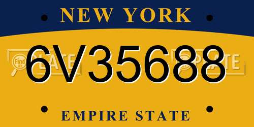 6V35688 New York License Plate