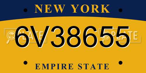 6V38655 New York License Plate