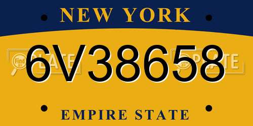 6V38658 New York License Plate