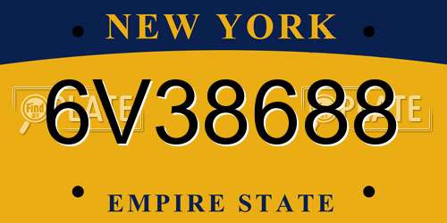 6V38688 New York License Plate