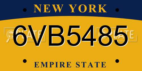6VB5485 New York License Plate