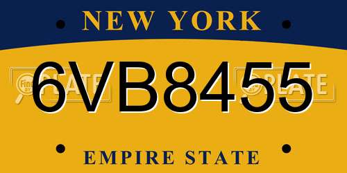 6VB8455 New York License Plate