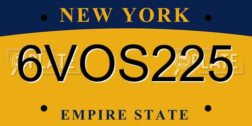 6VOS225 New York License Plate