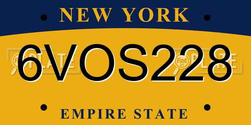 6VOS228 New York License Plate