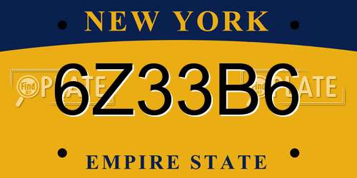 6Z33B6 New York License Plate