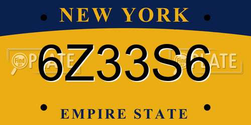 6Z33S6 New York License Plate
