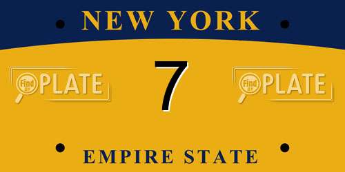 7 New York License Plate