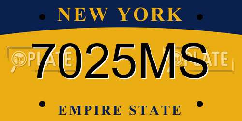 7025MS New York License Plate