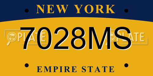 7028MS New York License Plate