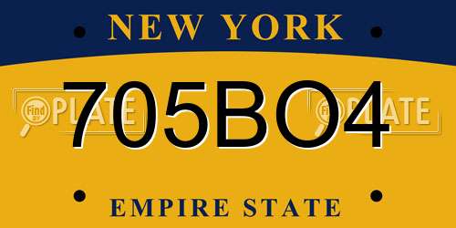 705BO4 New York License Plate
