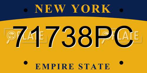 71738PC New York License Plate