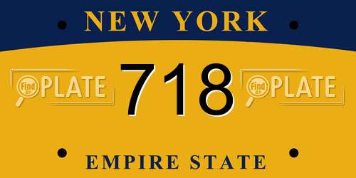 718 New York License Plate